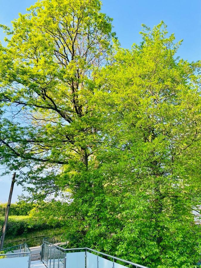 Ferienwohnung Waldblick Kaufungen ภายนอก รูปภาพ